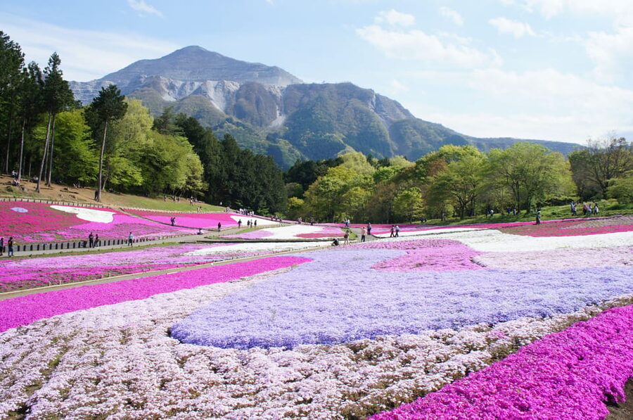 From Tokyo: Seibu Railway 1 Day Pass and Nagatoro - Choosing between Kawagoe and Chichibu
