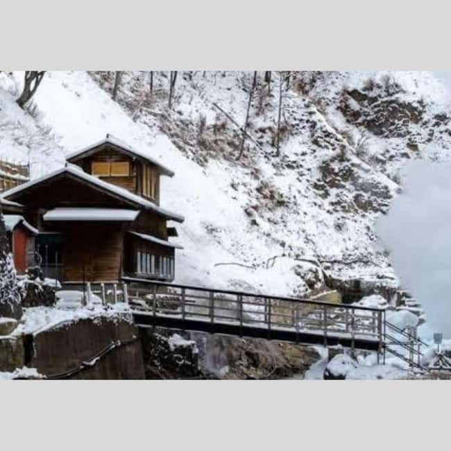 From Tokyo: Snow Monkey Park and Miso Production Day Tour - Key points to know before booking
