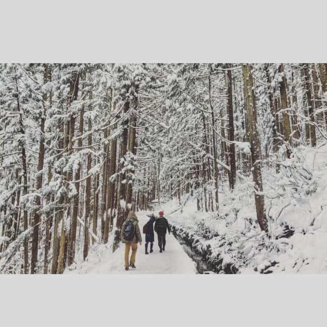 From Tokyo: Snow Monkey Park and Miso Production Day Tour - Why this Nagano day trip is worth the long drive