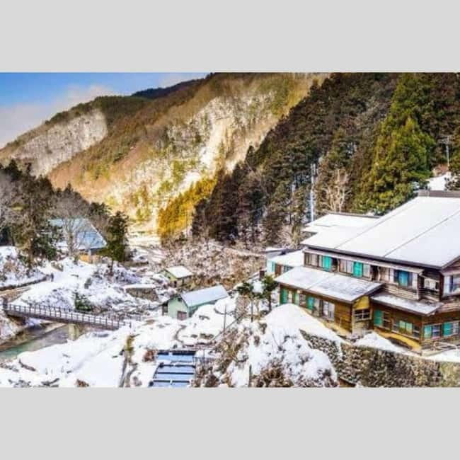 From Tokyo: Snow Monkey Park and Miso Production Day Tour - Shibu Onsen: a traditional finish