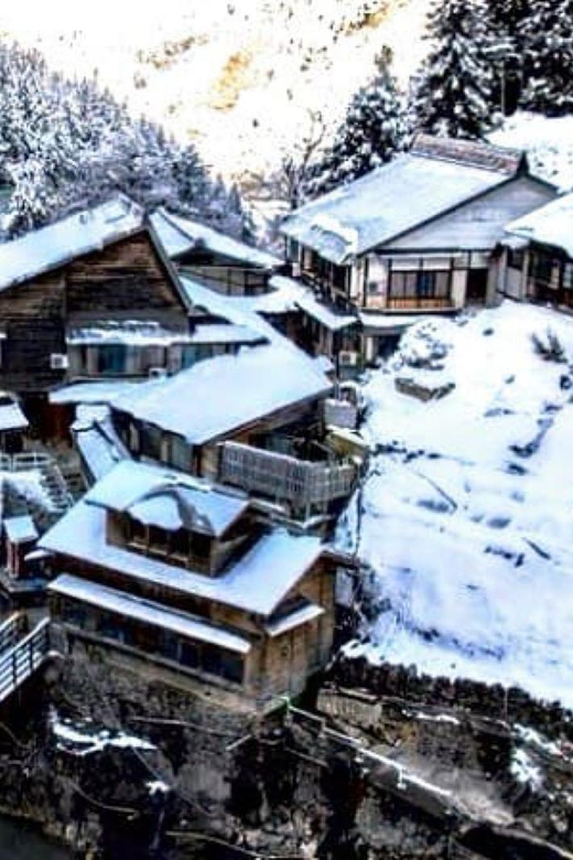 From Tokyo: Snow Monkey Private Customize Day Tour - Is $490 good value for five people?