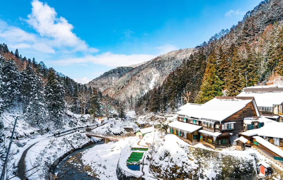 From Tokyo: Snow Monkeys and Zenkoji Temple Day Trip - Should you book this Tokyo to Nagano day trip?