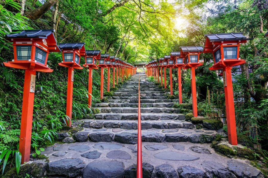 From Tokyo: Snow Monkeys and Zenkoji Temple Day Trip - Who will enjoy this private Nagano day