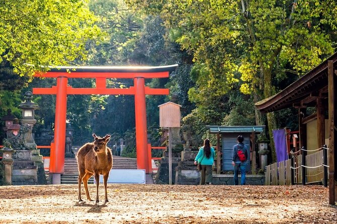 From Tokyo to Kyoto and Nara: A Captivating Full-Day Private Tour - Gion and the Old Kyoto Atmosphere