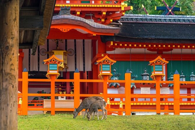 From Tokyo to Kyoto and Nara: A Captivating Full-Day Private Tour - Fushimi Inari’s Red Torii Gates