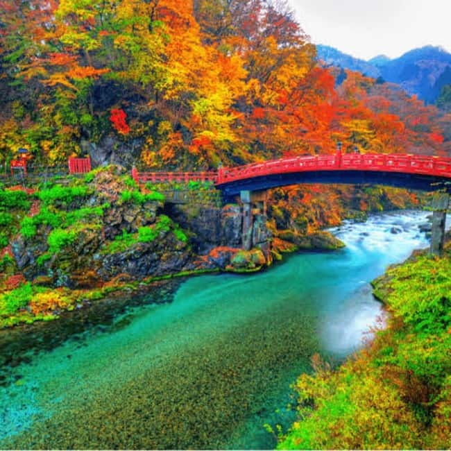 From Tokyo To Nikko Private Day Tour With English Guide - Why Nikko makes a strong day trip from Tokyo