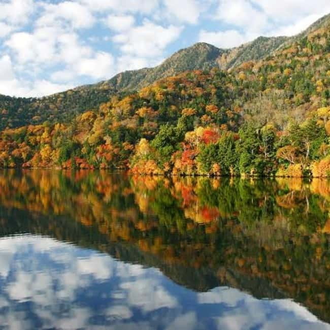 From Tokyo To Nikko Private Day Tour With English Guide - Kegon Falls in a 45-minute stop