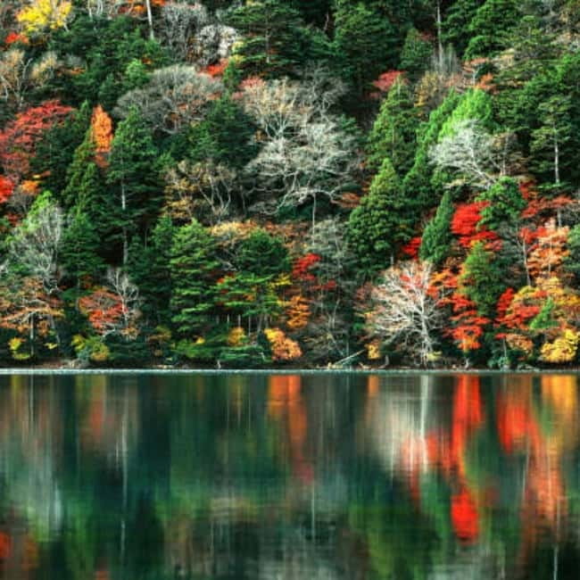 From Tokyo To Nikko Private Day Tour With English Guide - Shinkyo Bridge and the lower Nikko district