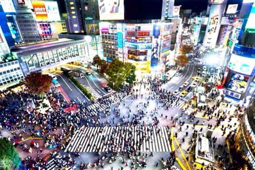 From Tokyo: Tokyo Private Customize Tour With English Driver - Key points at a glance