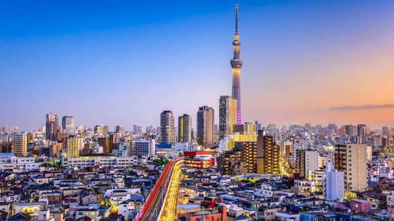 From Tokyo: Tokyo Private Customize Tour With English Driver - Why a private car makes sense in Tokyo