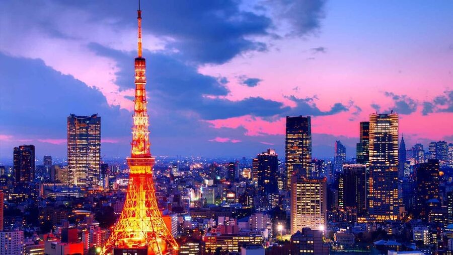 From Tokyo: Tokyo Private Customize Tour With English Driver - Meiji Shrine and the quiet forest