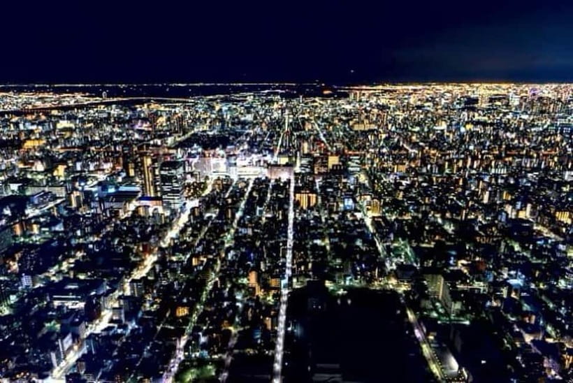 From Tokyo: Tokyo Private Customize Tour With English Driver - Shibuya Crossing and modern Tokyo