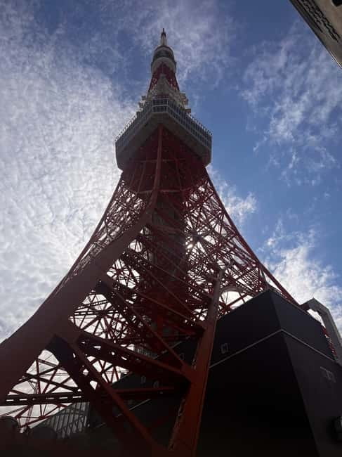 From Tokyo: Tokyo Private Customize Tour With English Driver - What the guides add to the day