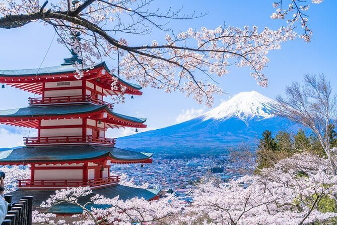 From Tokyo: Top 5 Scenic Spots of Mount Fuji Full-Day Tour - Key points before you book