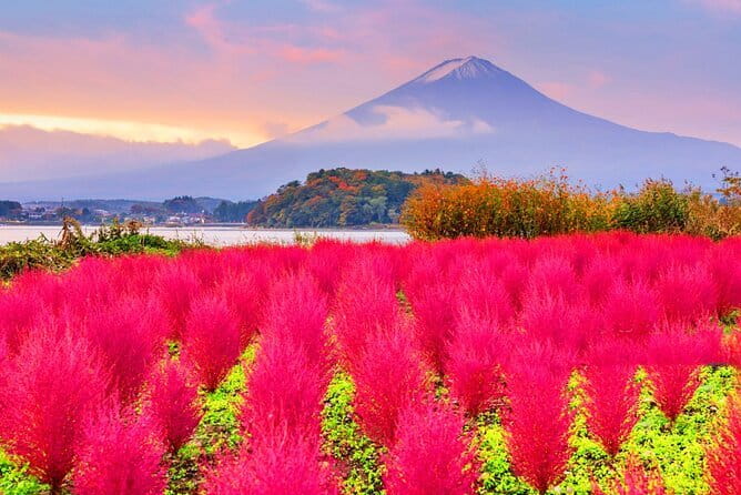 From Tokyo: Top 5 Scenic Spots of Mount Fuji Full-Day Tour - Why this route works for a first Fuji day