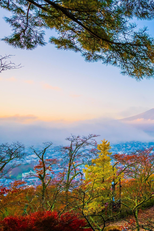 Fuji/Hakone Private Tour, English speaking guide, Photograph - What this private Fuji and Hakone day is really like