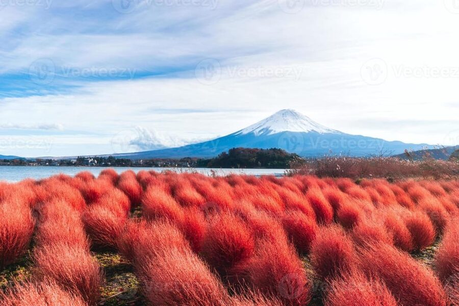 Fuji/Hakone Private Tour, English speaking guide, Photograph - Chureito Pagoda and the classic Fuji photograph