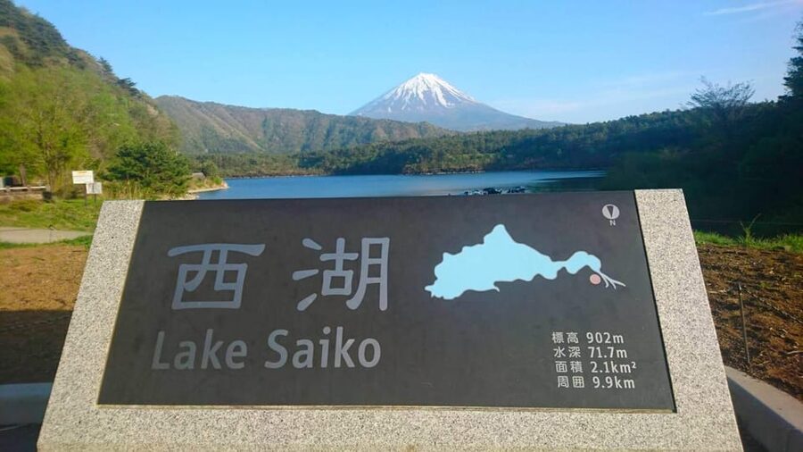 Fuji/Hakone Private Tour, English speaking guide, Photograph - Lunch in Fujikawaguchiko and the Fuji Five Lakes