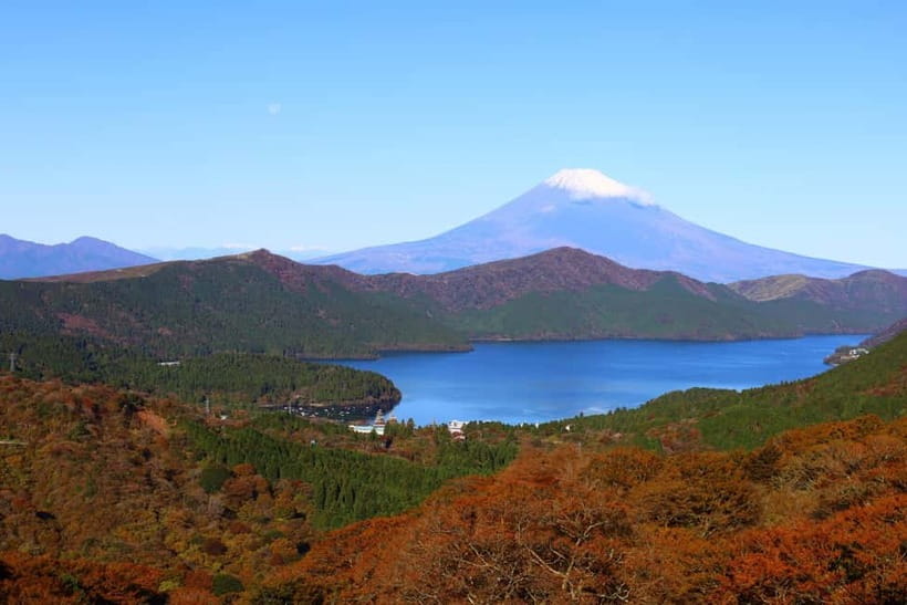 Fuji,Hakone Ropeway/Cruise/Shinkansen Ride w/lunch frm Tokyo - Sukiyaki lunch and the Izu Fruit Park stop