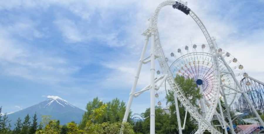 Fuji-Q Highland Amusement Park: 1 Day private tour by Car - Who will get the most from this day