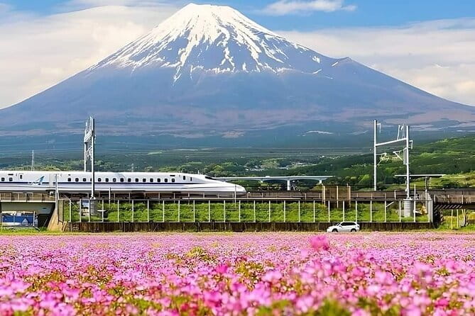 Fuji-Q Highland Amusement Park Private Tour with English Driver - Who Should Book This Fuji-Q Highland Tour