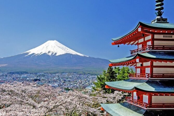 Fuji Speedway Self Drive & Mt. Fuji Private Tour pickup & dropoff - Key points at a glance