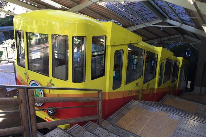 Full Day Hiking Tour at Mt.Takao including Hot Spring - Choosing between an easy route and a harder trail