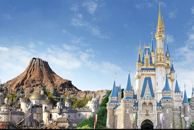 Full Day Private Guided Photographer and Driver in Tokyo Disney - Key points to know before booking