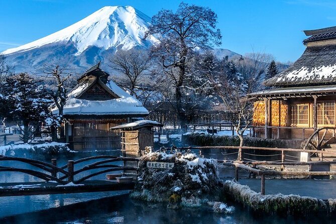 Full Day Private Tour in Mt. Fuji and Hakone - Key points at a glance