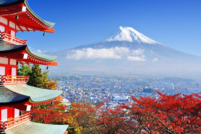 Full Day Private Tour in Mt. Fuji and Hakone - Saiko Iyashi no Sato Nemba and old-style village life