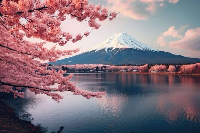 Full Day Private Tour of Mt Fuji - Oshino Hakkai and the water from Mt. Fuji