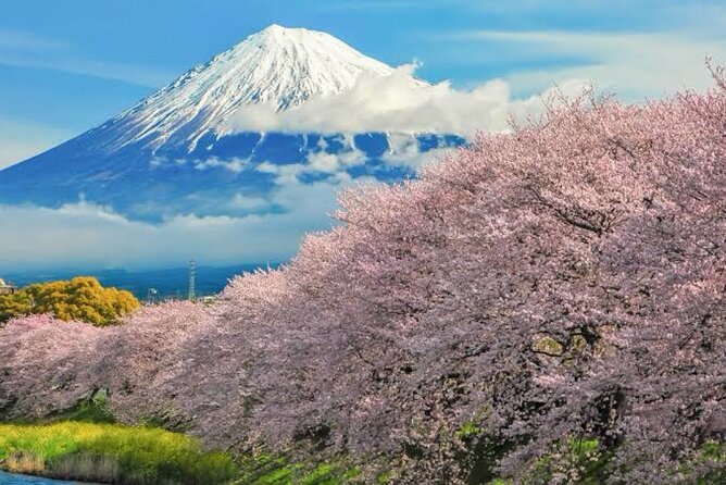 Full Day Private Tour of Mt Fuji - Chureito Pagoda and the 400-step climb