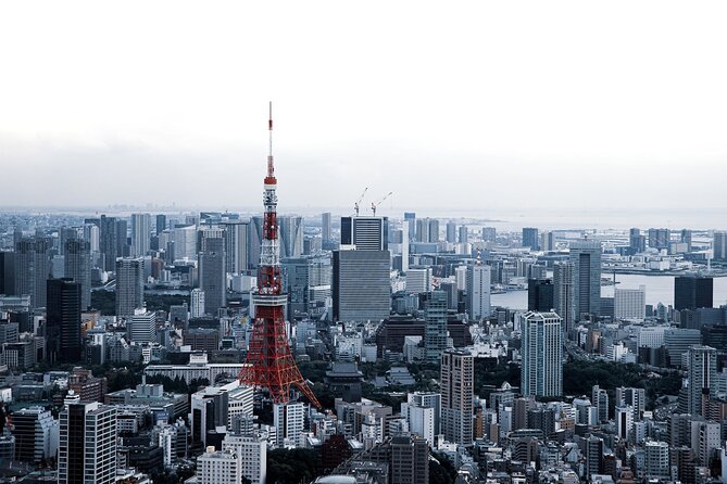 Full-Day Private Tour to Discover The Best of Tokyo - A short look at Akihabara