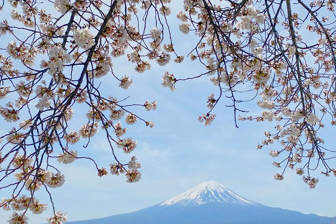 Full Day Private Tour to Mt Fuji by Luxury Vehicle - Houtou Fudou and the Fuji area’s hearty local noodles