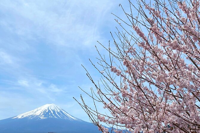 Full Day Private Tour to Mt Fuji by Luxury Vehicle - Saiko Iyashi no Sato Nemba: old-style houses by Lake Saiko