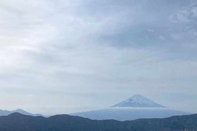 Full Day Private Tour to Mt Fuji by Luxury Vehicle - Kitaguchi Hongu Fuji Sengen Jinja and the cedar forest
