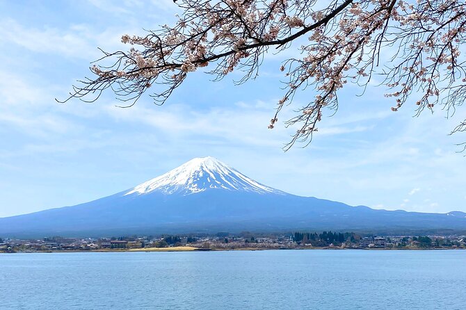 Full Day Private Tour to Mt Fuji by Luxury Vehicle - What the flexible schedule really means