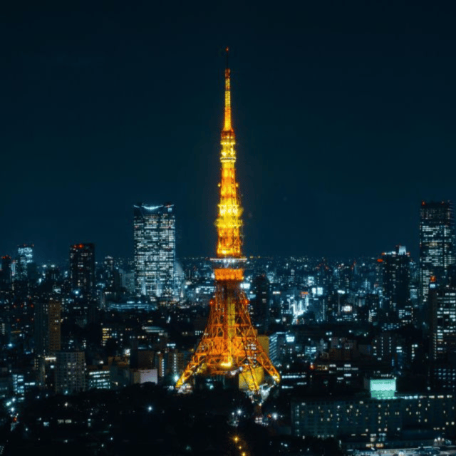 Full Day Tokyo City Private Tour Sightseeing Full Customised - Why a private car helps in Tokyo