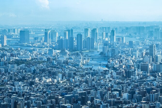 Full Day Tokyo Private Tour by Luxury Vehicle - Takeshita Street and Harajuku: Tokyo’s playful shopping side