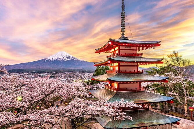 Full Day Tour at Mt. Fuji, Onsen, Lake Kawaguchi and Yamanaka - The ride, group size, and guide experience