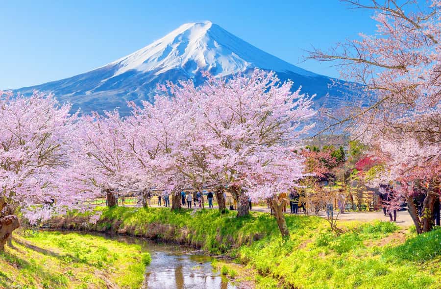 Full-Day Tour to the Picturesque Spots of Mount Fuji - Key points to know before booking