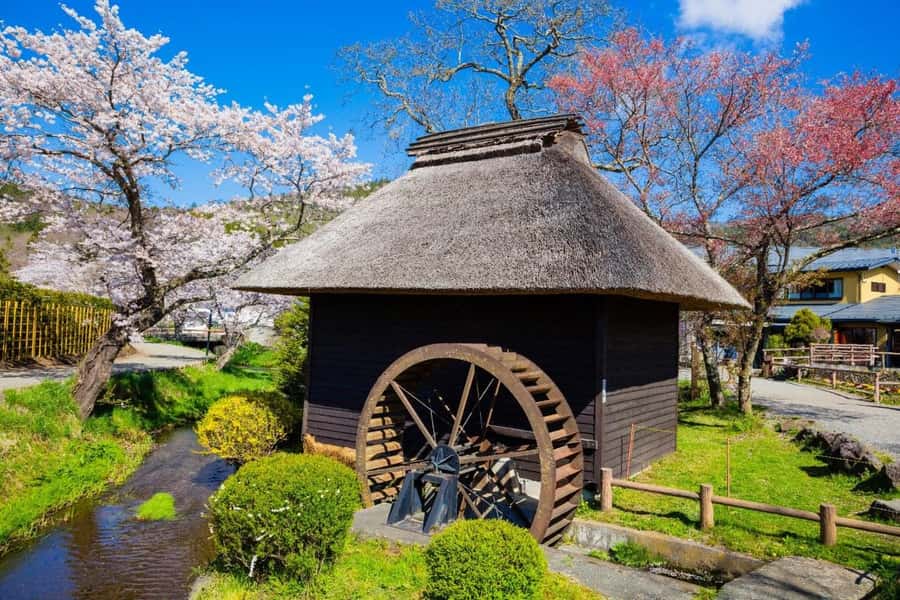 Full-Day Tour to the Picturesque Spots of Mount Fuji - Saiko Iyashi-no-Sato Nenba and its thatched roofs
