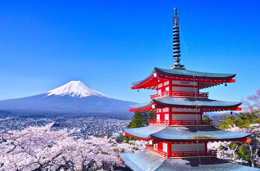 Full-Day Tour to the Picturesque Spots of Mount Fuji - Oishi Park beside Lake Kawaguchiko