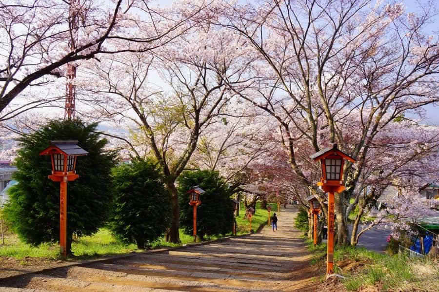 Full-Day Tour to the Picturesque Spots of Mount Fuji - Oshino Hakkai and Fuji’s clear spring water
