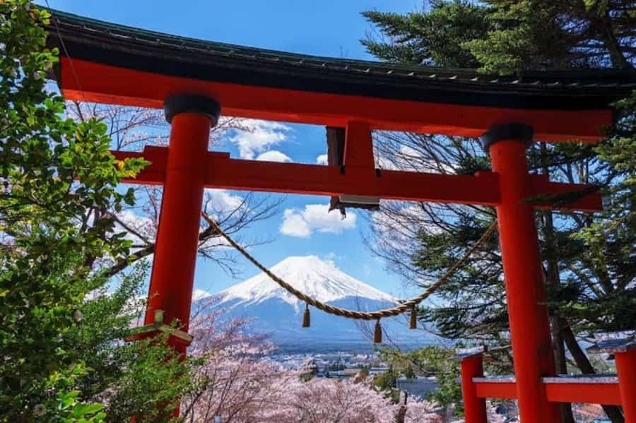 Full-Day Tour to the Picturesque Spots of Mount Fuji - Arakurayama Sengen Park and the 400-step climb