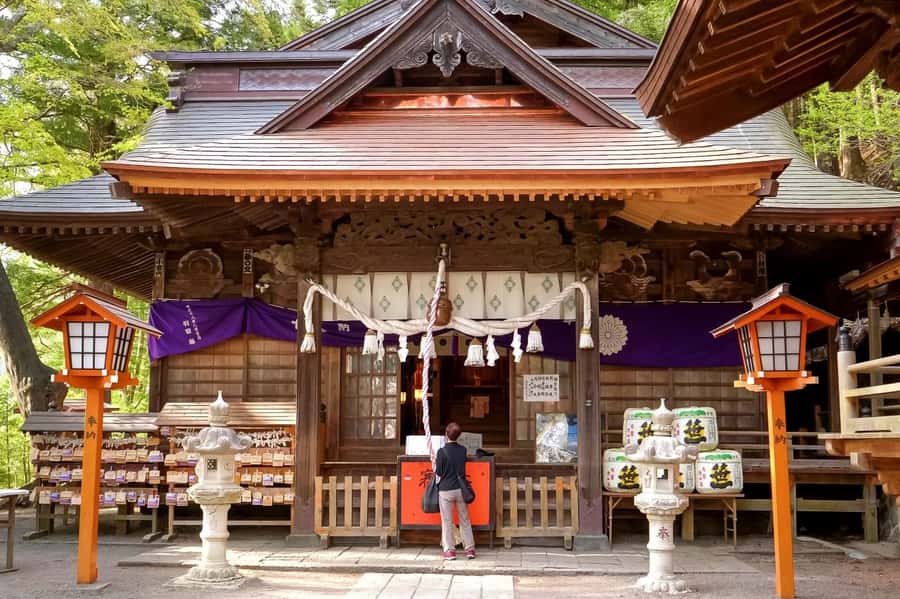 Full-Day Tour to the Picturesque Spots of Mount Fuji - Who should book, and who should think twice