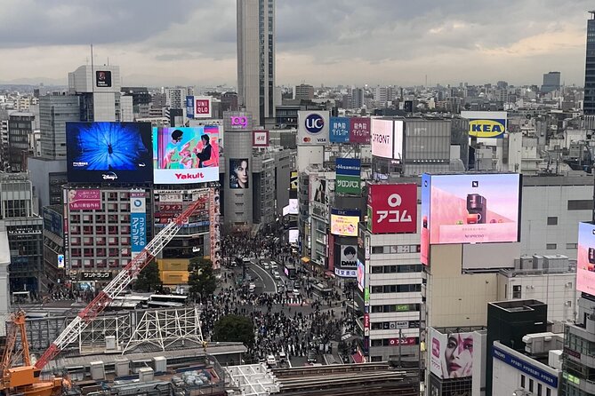 Full Day Walking Tour in Shinjuku and Shibuya - Golden Gai and Kabukicho bring you into nighttime Shinjuku