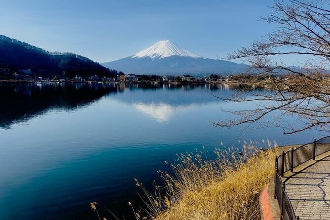 Full Guided Mt. Fuji & Hakone Attractive Private Day Tour - Why this private Fuji and Hakone route works