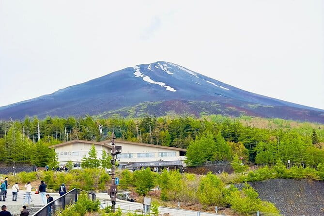 Full Guided Mt. Fuji & Hakone Attractive Private Day Tour - Moto Hakone Shrine and the Torii of Peace