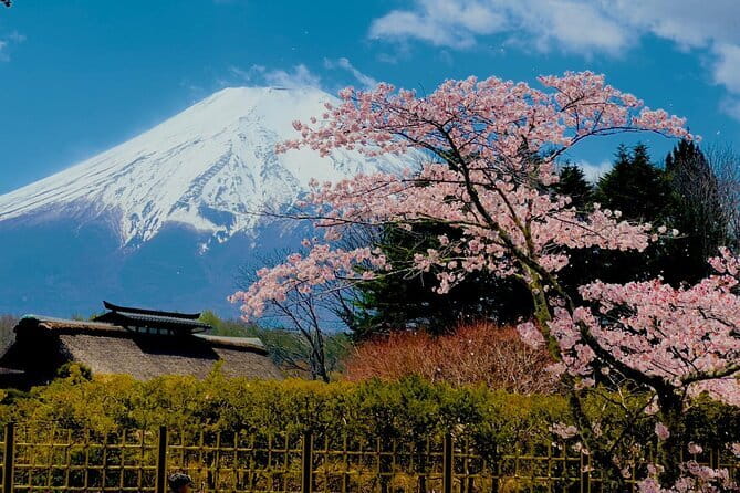 Full Guided Mt. Fuji & Hakone Attractive Private Day Tour - Lake Ashi, the Pirate Ship, and the red torii